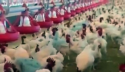 چنیوٹ پاور پلانٹ ایک چونکہ دینے والی خبر عوام کے سامنے بھارت سے نفرت لیکن پس پردہ کچھ اور ¡