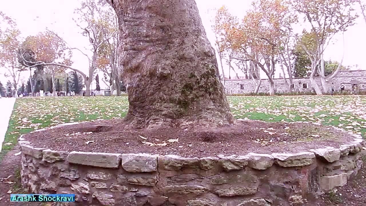Topkapı Palace