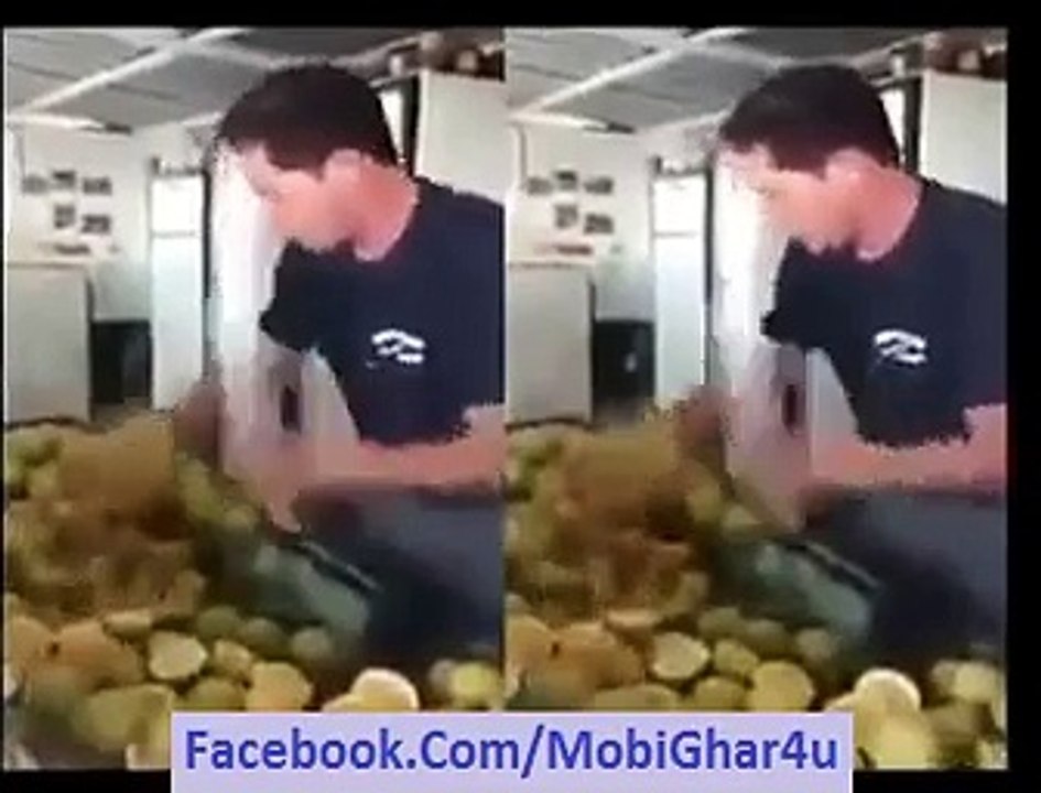 Fruit Ninja in Real Life - MobiGhar.Com