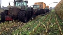 Fendt 930 Vario Extreme Harvest