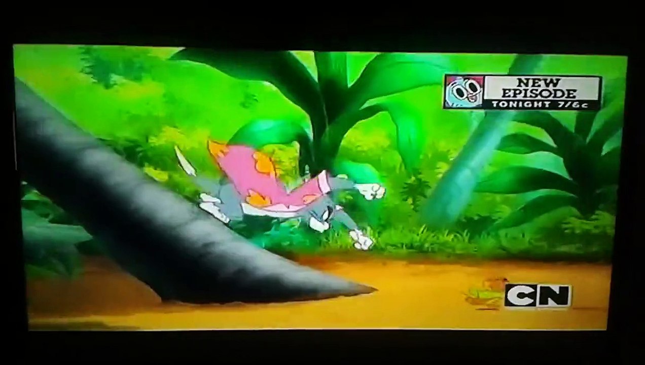 Tom vs Jerry