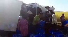 Moroccans stealing milk truck after accident