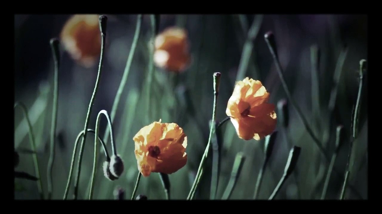 Relaxing Piano Instrumental Music