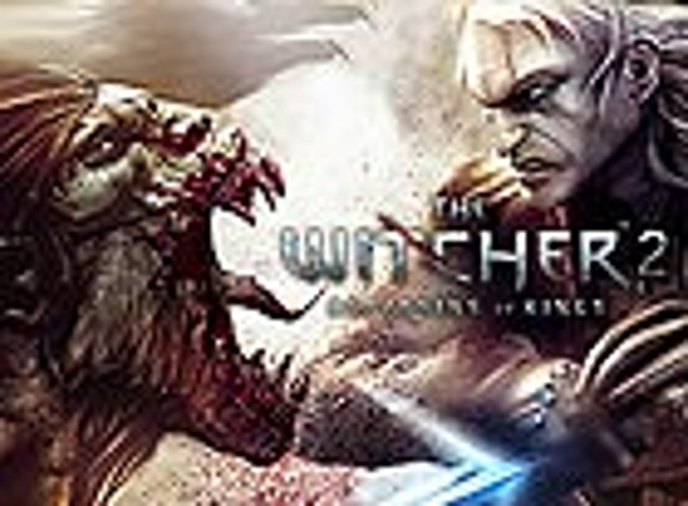 The Witcher 2: Assassins of Kings, in-Game