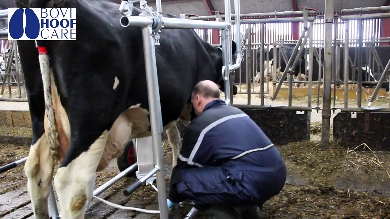 Klovplejeboksen / The Hoof Care Box