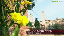 San Gimignano: medieval village near Siena, Tuscany, Italy - borgo medievale vicino Siena, Toscana