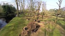 Drone Captured & Investigated by Chimps at Zoo (enhanced)