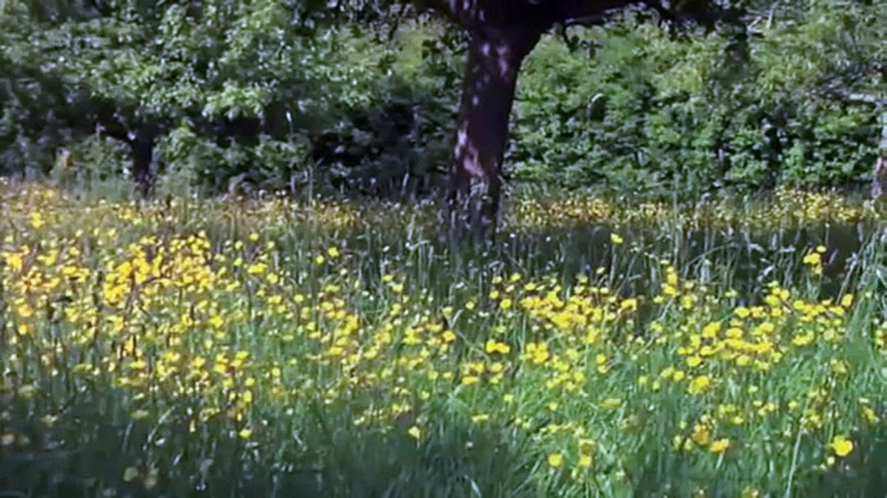 La terre en morceaux - ARTE Documentaire 2015