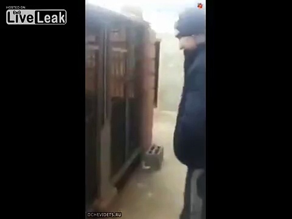 Dog vs pussy