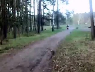 scooter jumping in the tree