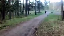 scooter jumping in the tree