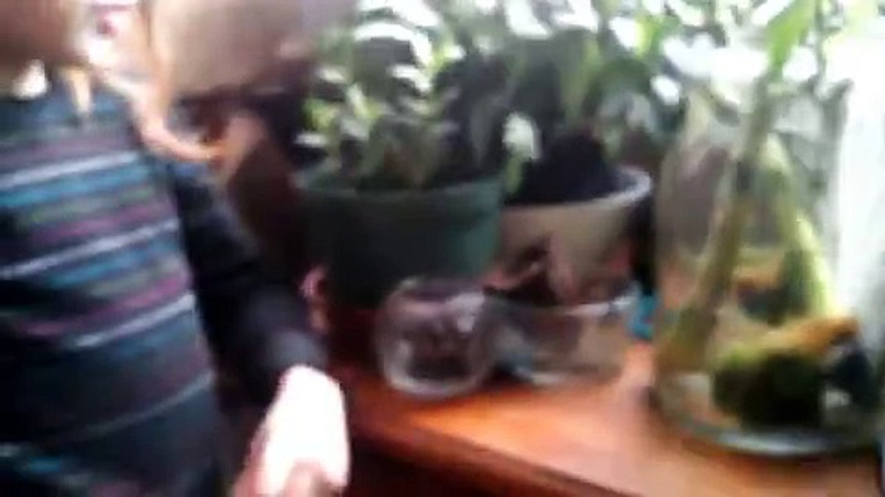 Young Girl Introduces Us to Her New Aquarium
