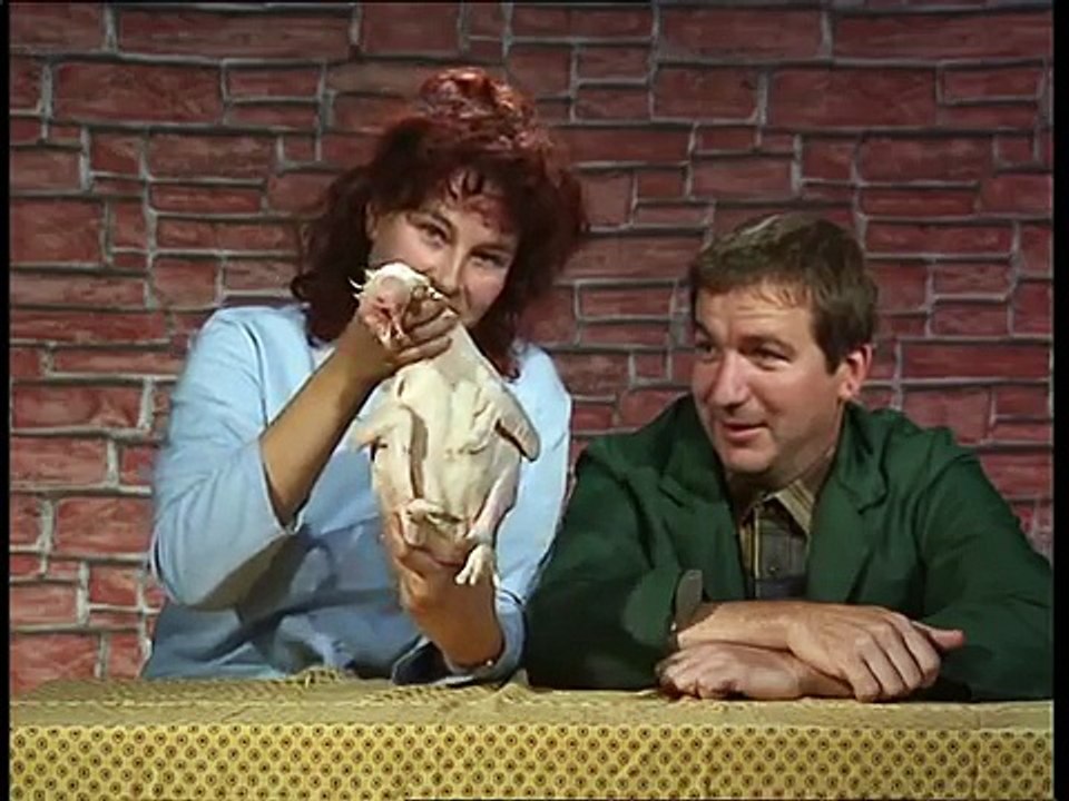 LES DESCHIENS - MON POULET MON KIKI