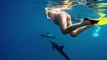Une femme enceinte nage avec les dauphins... Trop mignon!