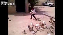 Little boy getting chased by hungry chickens **Zombie Edition**