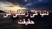 best duniya ki zindagi ki haqeeqat by maulana tariq jameel