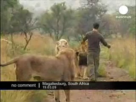 Свой среди чужих