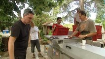 Vendanges en Corse-du-Sud : la relance de la viticulture dans la plaine de Peri