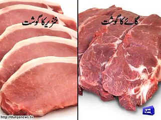Find out difference between pig, cow's meat .