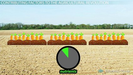 The Agricultural Revolution Timeline, Causes, Inventions Effects.