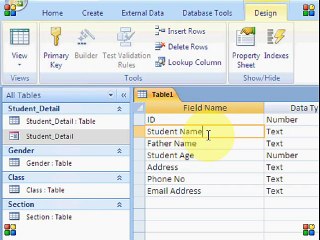 MS Access 2007 Part13 - Urdu Tutorial