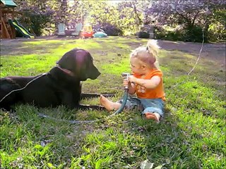 Baby Laughing hysterically At Dog