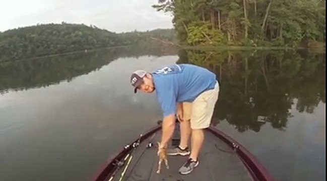 Un pêcheur récupère deux chatons dans une rivière