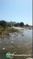 whatsapp latest funny videos daring stunt on scooty