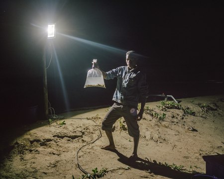 Les Grands Moyens (5/5) : des concombres de mer pour lutter contre la pauvreté à Madagascar