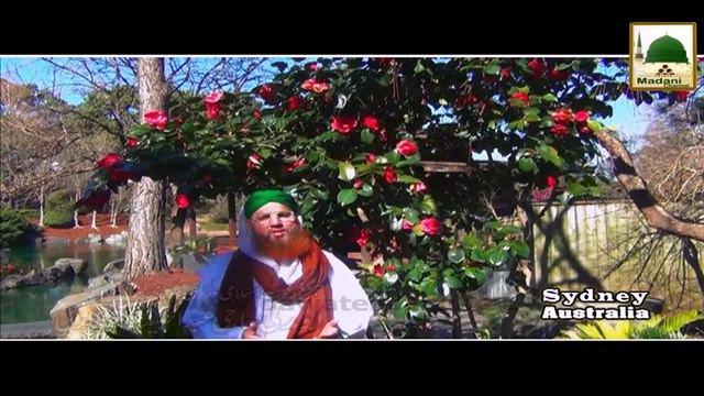 Beautiful Poetry - Haji Abdul Habib Attari - Madani Phool 01