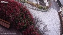 Guy sprays his neighbor in the face with weed killer.