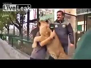 A Female Lion in Zoo Hugging People