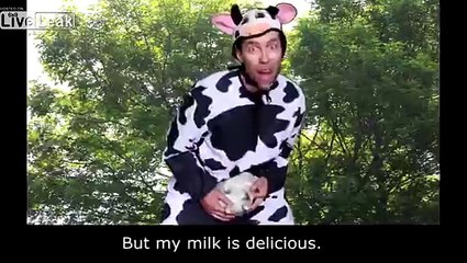 Vegan Sucking teats of a man in cow costume