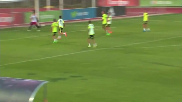 La parade d'ker Casillas à Cesc Fábregas