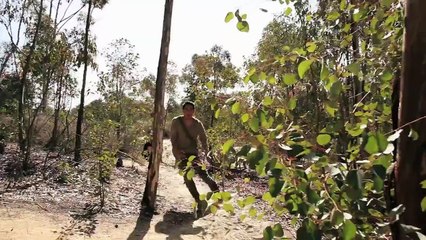 Real Temple Run Forever