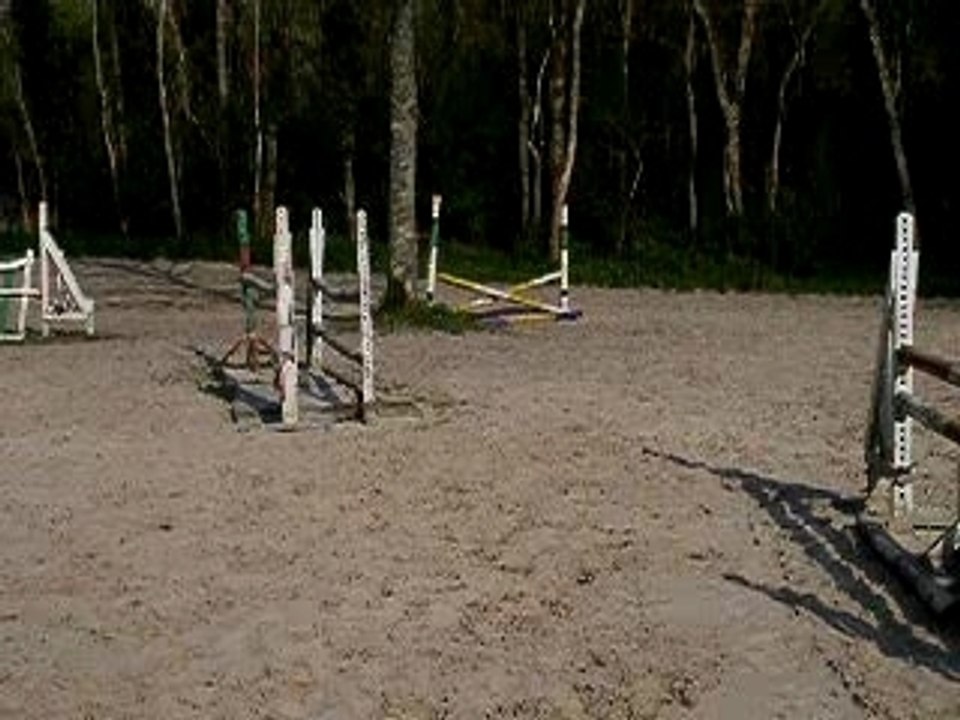 P1010011