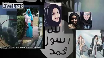 WTF ARE YOU THINKING!!!!!