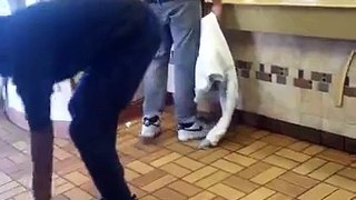 Another wild (ghetto) incident at McDonald's
