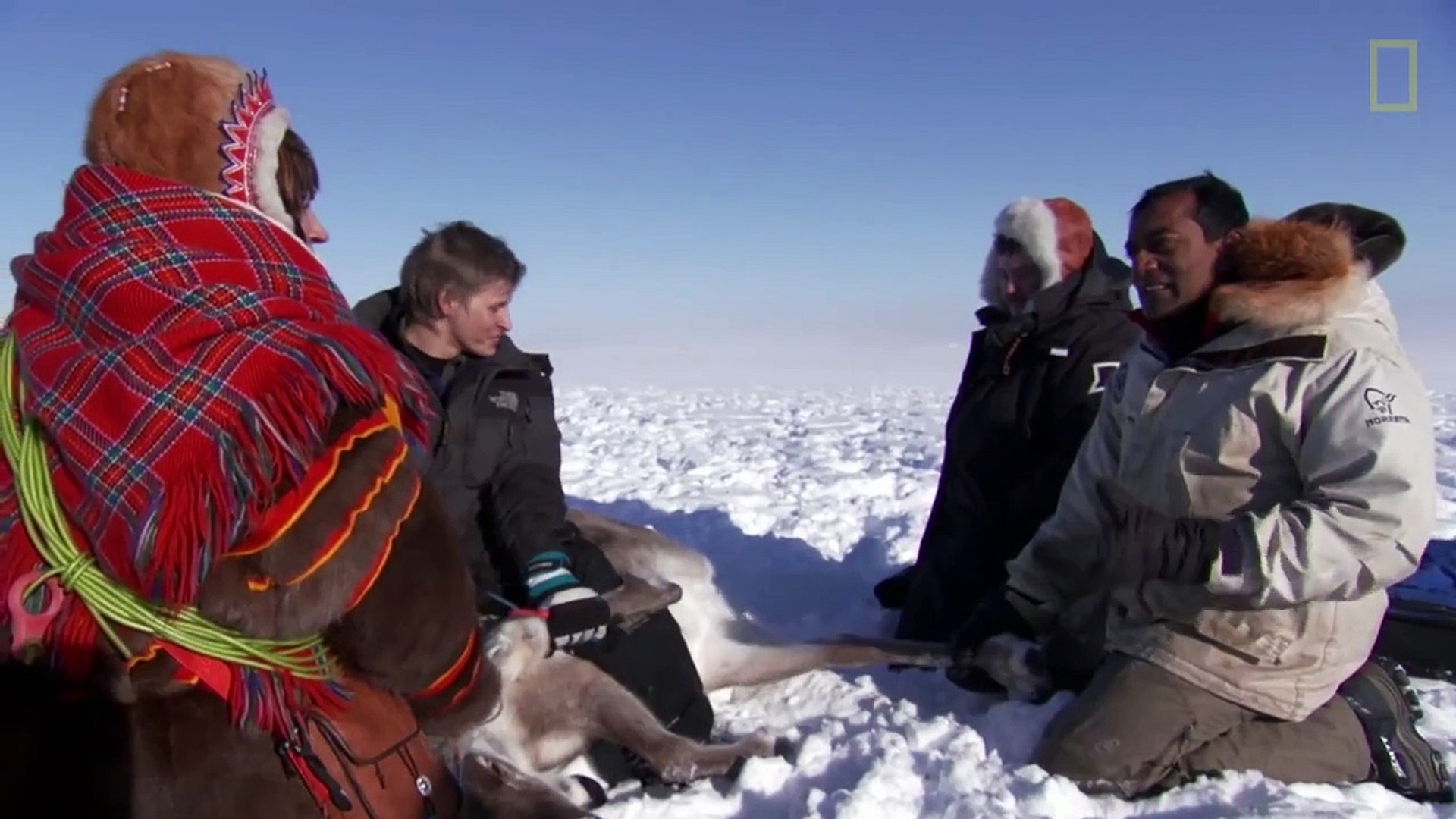 Man Castrates Reindeer With His Teeth