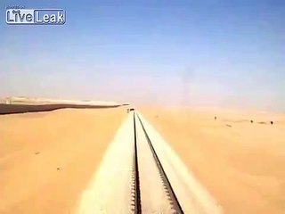 Train hits camel in Saudi Arabia