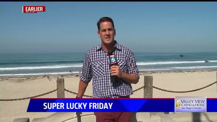 Big bug gives FOX 5 reporter a big scare: 'Are we live?!!'