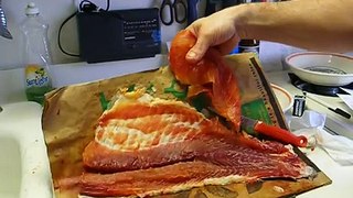 HOW TO FILET CARP BONELESS AND TENDERIZE BY ELECTROCUTION