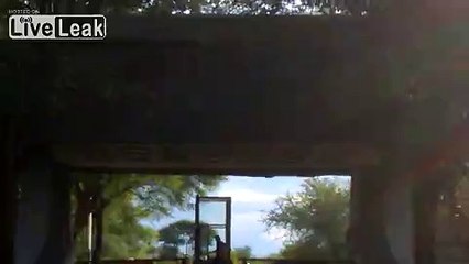 Dancing gate guard Zimbabwe