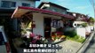 Gourmet! Hiroshima okonomiyaki Eateries Hatsu -chan(Japanese subtitles)
