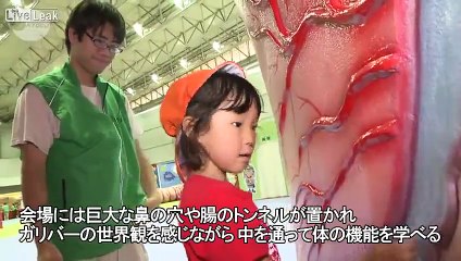 Another Japanese Wtf