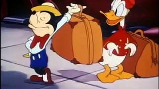 donald duck cartoon episodes 01 Bellboy Donald 1942 DVDRip X