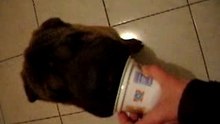 mumbaï le gourmand!