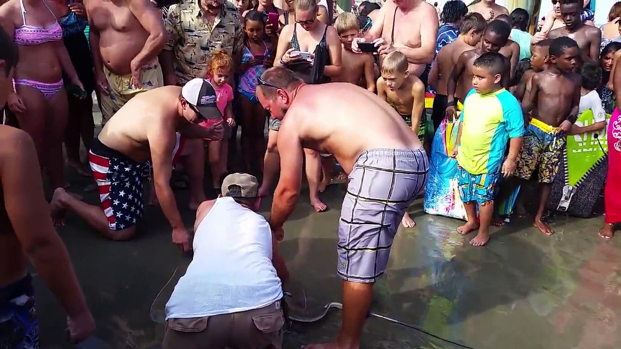 Fishermen Caught Stingray and it Gives Birth