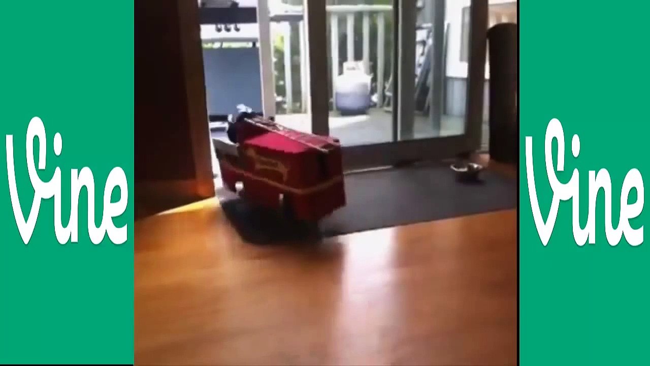 Best Vines Compilation July 2014++ Vine_ Vines_ Funny Vines_ Funny Videos_ Funny
