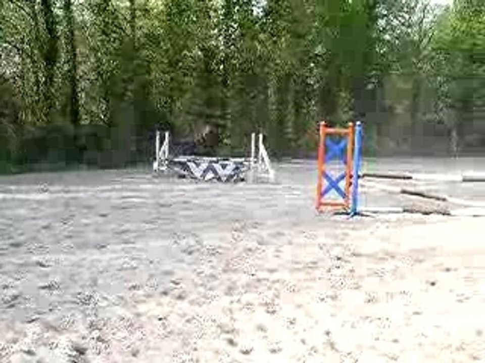 P1010016